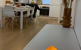Nice And Cosy Flat Near Geneva Or Annecy